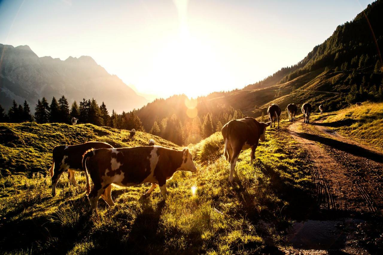 Kaiserhaus Leogang Luaran gambar